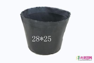 营养杯28*25
